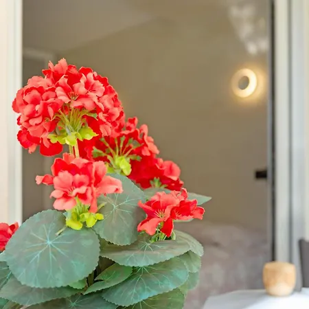 Apartman Kellys' Camelias *