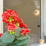 Διαμέρισμα Kellys' Camelias *