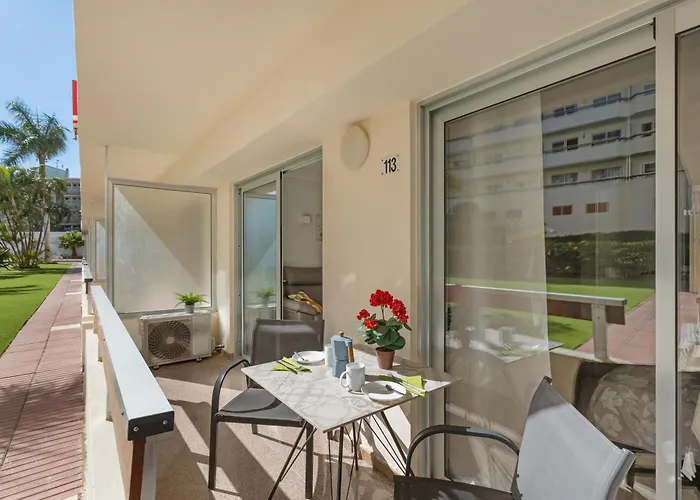 Kellys' Camelias San Bartolomé