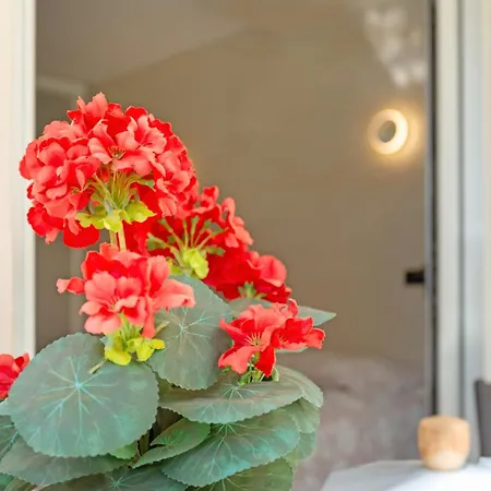 Διαμέρισμα Kellys' Camelias San Bartolomé