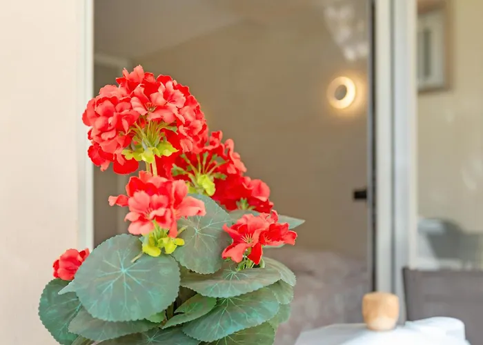 Appartement Kellys' Camelias San Bartolomé